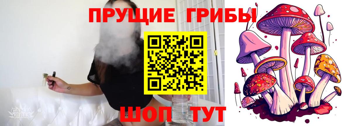 Рузаевка  продажа наркотиков  Вход с VPN  Псилоцибиновые грибы мицелий 